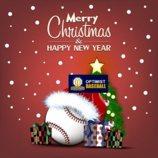 Merry Christmas & Happy New Year !!!