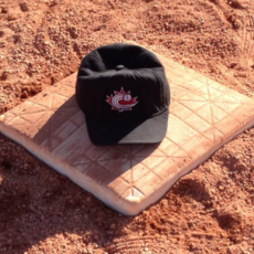 2021 Umpire Clinics