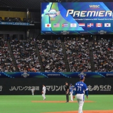 2018 unique baseball images