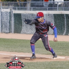 2019 Baseball Canada Cup 30 Pro Pics Photographer