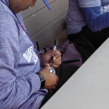 2019 Blue Jays Camp Regina Optimist Park July 8